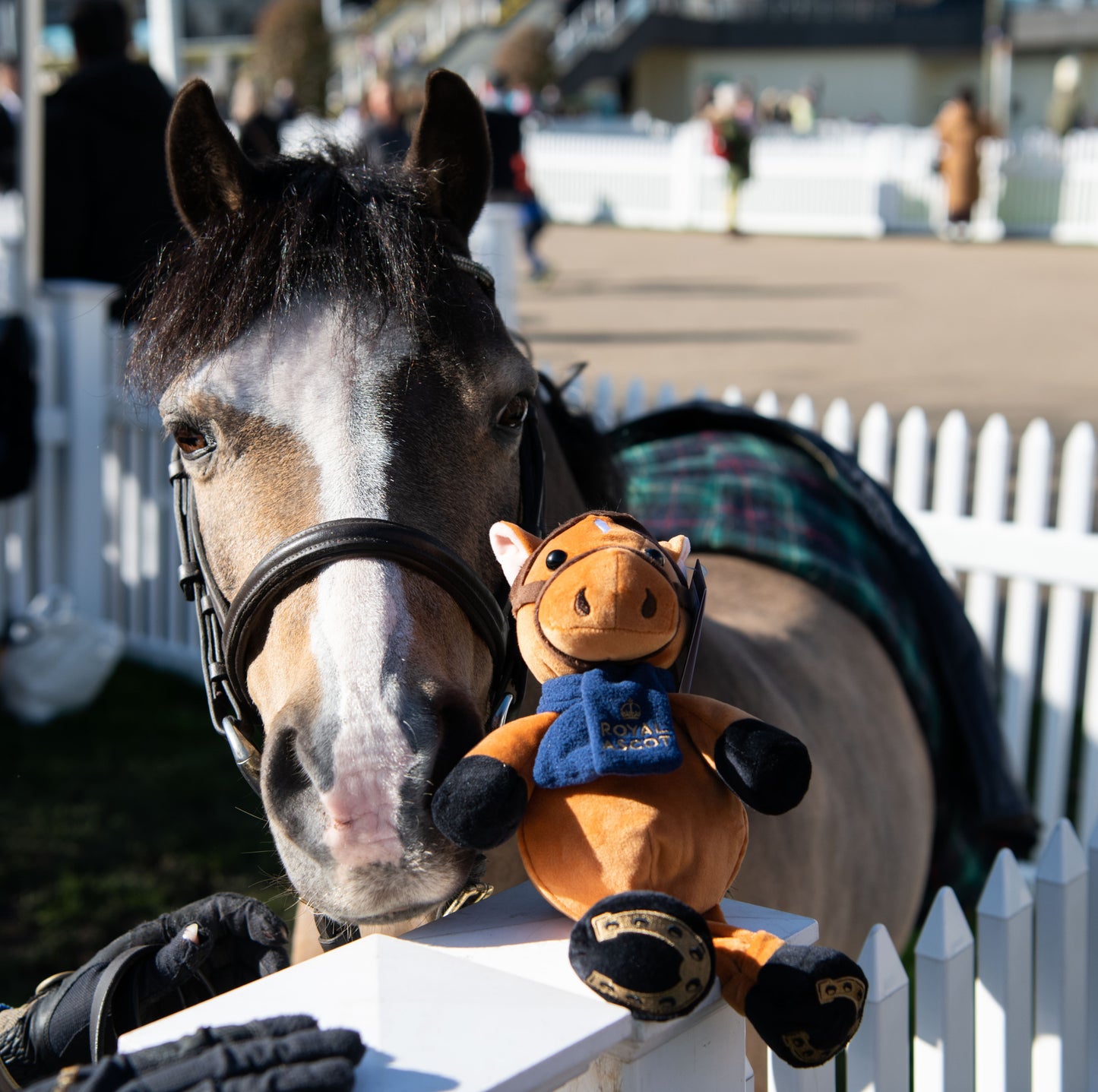 Ascot Horse Plush