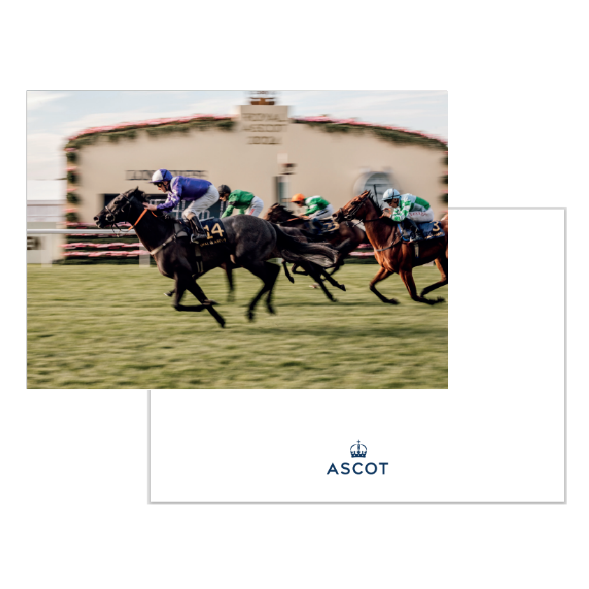 Postcard - Winning Line