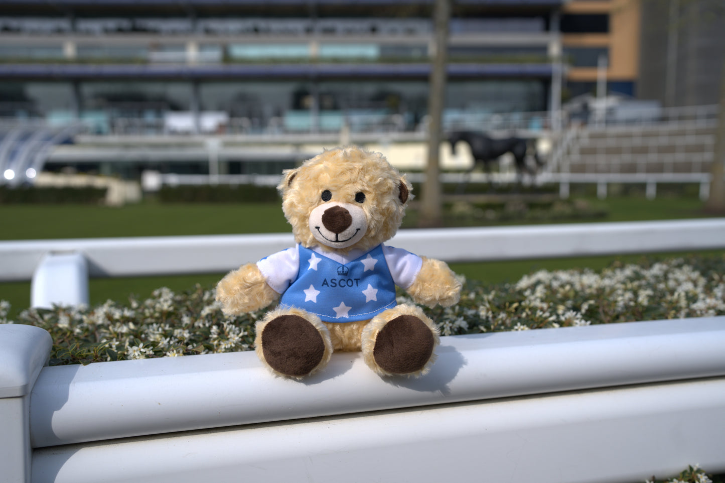 Ascot Jockey Silks Bear