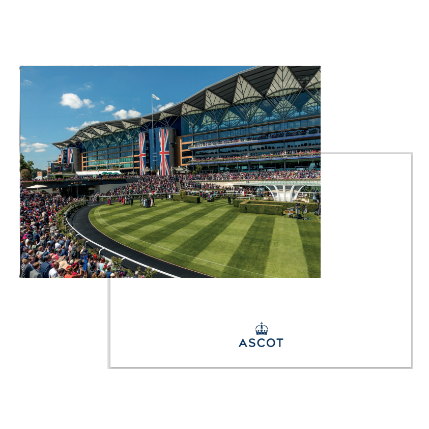 Postcard - Parade Ring Flag